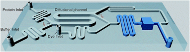 Graphical abstract: On-chip measurements of protein unfolding from direct observations of micron-scale diffusion