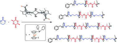 Graphical abstract: Preparation of multiblock copolymers via step-wise addition of l-lactide and trimethylene carbonate