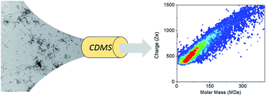 Graphical abstract: Mass and charge distributions of amyloid fibers involved in neurodegenerative diseases: mapping heterogeneity and polymorphism