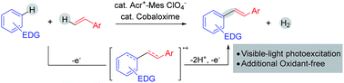 Graphical abstract: Photoinduced oxidative activation of electron-rich arenes: alkenylation with H2 evolution under external oxidant-free conditions