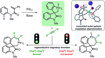 Graphical abstract: Exploring the mechanism of the Pd-catalyzed spirocyclization reaction: a combined DFT and experimental study