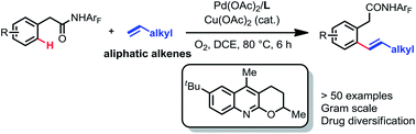 Graphical abstract: Ligand-enabled ortho-C–H olefination of phenylacetic amides with unactivated alkenes