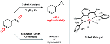 Graphical abstract: Regioselective Simmons–Smith-type cyclopropanations of polyalkenes enabled by transition metal catalysis
