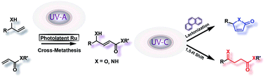 Graphical abstract: Guiding a divergent reaction by photochemical control: bichromatic selective access to levulinates and butenolides