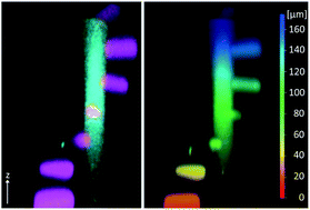 Graphical abstract: A red-shifted two-photon-only caging group for three-dimensional photorelease