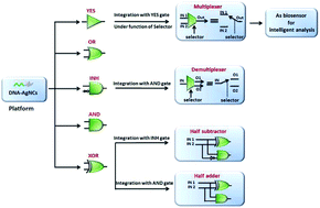 Graphical abstract: Multiple advanced logic gates made of DNA-Ag nanocluster and the application for intelligent detection of pathogenic bacterial genes