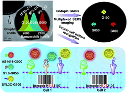Graphical abstract: Isotopic graphene–isolated-Au-nanocrystals with cellular Raman-silent signals for cancer cell pattern recognition