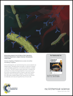 Graphical abstract: Inside back cover