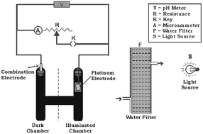 Graphical abstract: Study of the enhancement on photogalvanics: solar energy conversion and storage in EDTA–safranine O–NaLS system