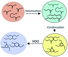 Graphical abstract: Integrated catalytic sequences for catalytic upgrading of bio-derived carboxylic acids to fuels, lubricants and chemical feedstocks