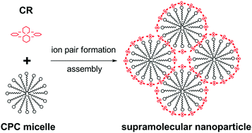 Graphical abstract: Unusual nanosized associates of carboxy-calix[4]resorcinarene and cetylpyridinium chloride: the macrocycle as a glue for surfactant micelles