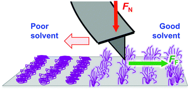 Graphical abstract: Nanotribological properties of nanostructured poly(cysteine methacrylate) brushes