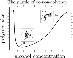 Graphical abstract: Reply to the ‘Comment on “Relating side chain organization of PNIPAm with its conformation in aqueous methanol”’ by N. van der Vegt and F. Rodriguez-Ropero, Soft Matter, 2017, 13, DOI: 10.1039/C6SM02139E