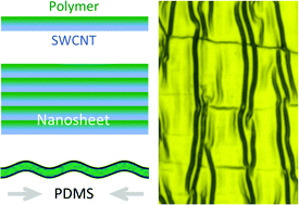 Graphical abstract: Rigidity of lamellar nanosheets