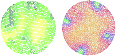 Graphical abstract: Clustering in vibrated monolayers of granular rods