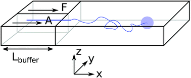 Graphical abstract: Passive and active colloidal chemotaxis in a microfluidic channel: mesoscopic and stochastic models