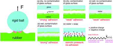 Graphical abstract: The effect of surface roughness and viscoelasticity on rubber adhesion