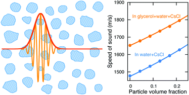 Graphical abstract: Measuring the porosity and compressibility of liquid-suspended porous particles using ultrasound