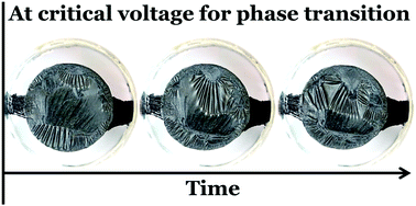 Graphical abstract: Dynamic pattern of wrinkles in a dielectric elastomer