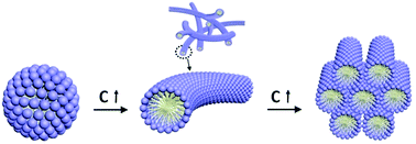 Graphical abstract: Spontaneous wormlike micelles formed in a single-tailed zwitterionic surface-active ionic liquid aqueous solution