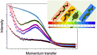 Graphical abstract: pH Responsiveness of hydrogels formed by telechelic polyampholytes