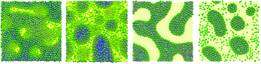 Graphical abstract: Diverse morphologies in thin-film bijels by varying film thickness and composition