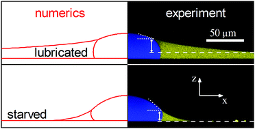 Graphical abstract: Shape of a sessile drop on a flat surface covered with a liquid film