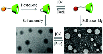 Graphical abstract: Redox-responsive self-assembly of β-cyclodextrin and ferrocene double-headed amphiphilic molecules