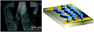 Graphical abstract: Electric field directed formation of aligned conjugated polymer fibers