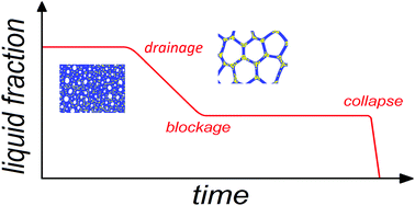 Graphical abstract: Foamed emulsion drainage: flow and trapping of drops