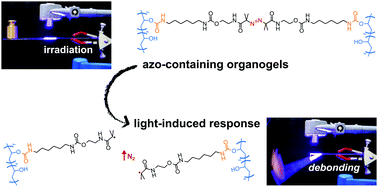 Graphical abstract: Light-responsive azo-containing organogels