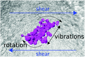 Graphical abstract: Application of the Eckart frame to soft matter: rotation of star polymers under shear flow