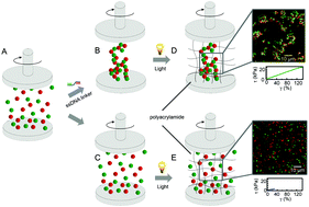 Graphical abstract: The mechanical properties of polymer–colloid hybrid hydrogels