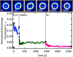 Graphical abstract: Structure and rheology of dual-associative protein hydrogels under nonlinear shear flow