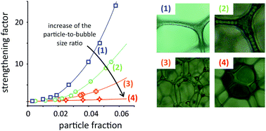 Graphical abstract: Elasticity of particle-loaded liquid foams
