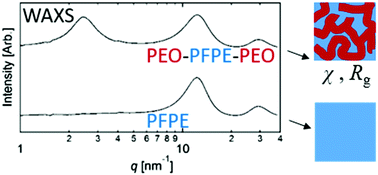 Graphical abstract: Incipient microphase separation in short chain perfluoropolyether-block-poly(ethylene oxide) copolymers