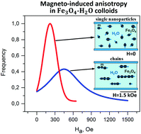 Graphical abstract: Magneto-induced anisotropy in magnetic colloids of superparamagnetic magnetite nanoparticles in an external magnetic field