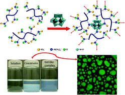 Graphical abstract: Organic–inorganic macroion coacervate complexation