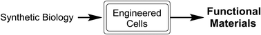 Graphical abstract: Recent advances in the synthesis of functional materials by engineered and recombinant living cells