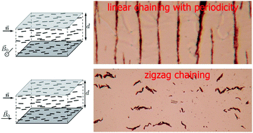 Graphical abstract: Ordering of ferromagnetic nanoparticles in nematic liquid crystals