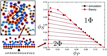 Graphical abstract: Transfer matrix theory of polymer complex coacervation