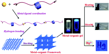 Graphical abstract: A pillar[5]arene-based multiple-stimuli responsive metal–organic gel was constructed for facile removal of mercury ions