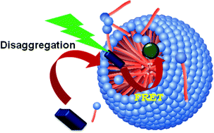 Graphical abstract: Revival of the nearly extinct fluorescence of coumarin 6 in water and complete transfer of energy to rhodamine 123