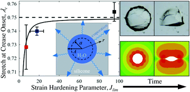 Graphical abstract: Creasing in evaporation-driven cavity collapse