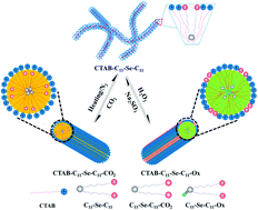 Graphical abstract: Responsive, switchable wormlike micelles for CO2/N2 and redox dual stimuli based on selenium-containing surfactants