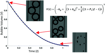 Graphical abstract: Shrinking microbubbles with microfluidics: mathematical modelling to control microbubble sizes