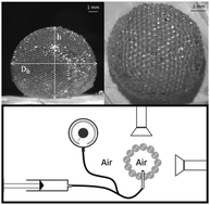 Graphical abstract: Low gas permeability of particulate films slows down the aging of gas marbles