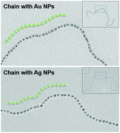 Graphical abstract: Supracolloidal chains of patchy micelles of diblock copolymers with in situ synthesized nanoparticles