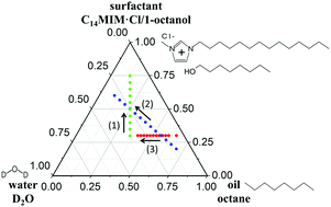 Graphical abstract: Small-angle neutron scattering study of a dense microemulsion system formed with an ionic liquid