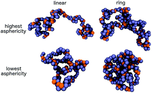 Graphical abstract: Effects of precursor topology and synthesis under crowding conditions on the structure of single-chain polymer nanoparticles